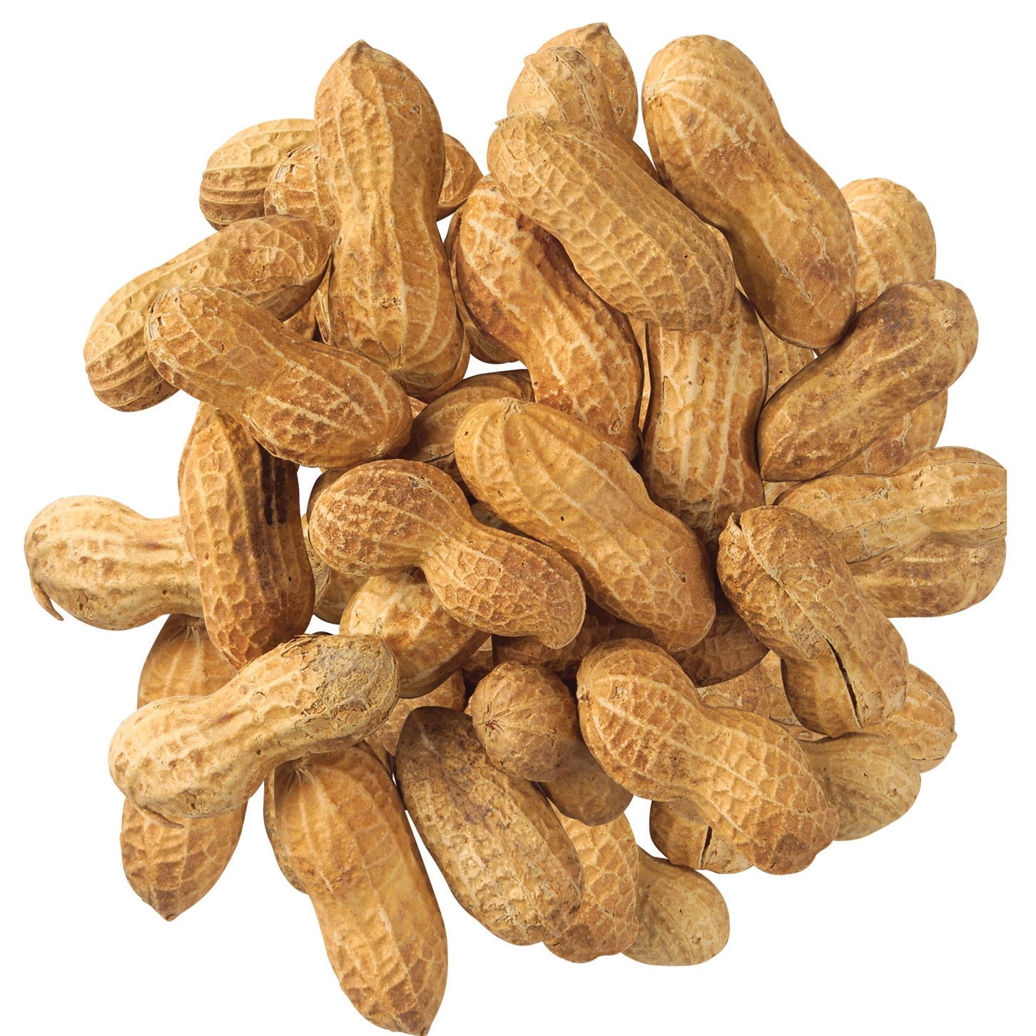 BK-PNS