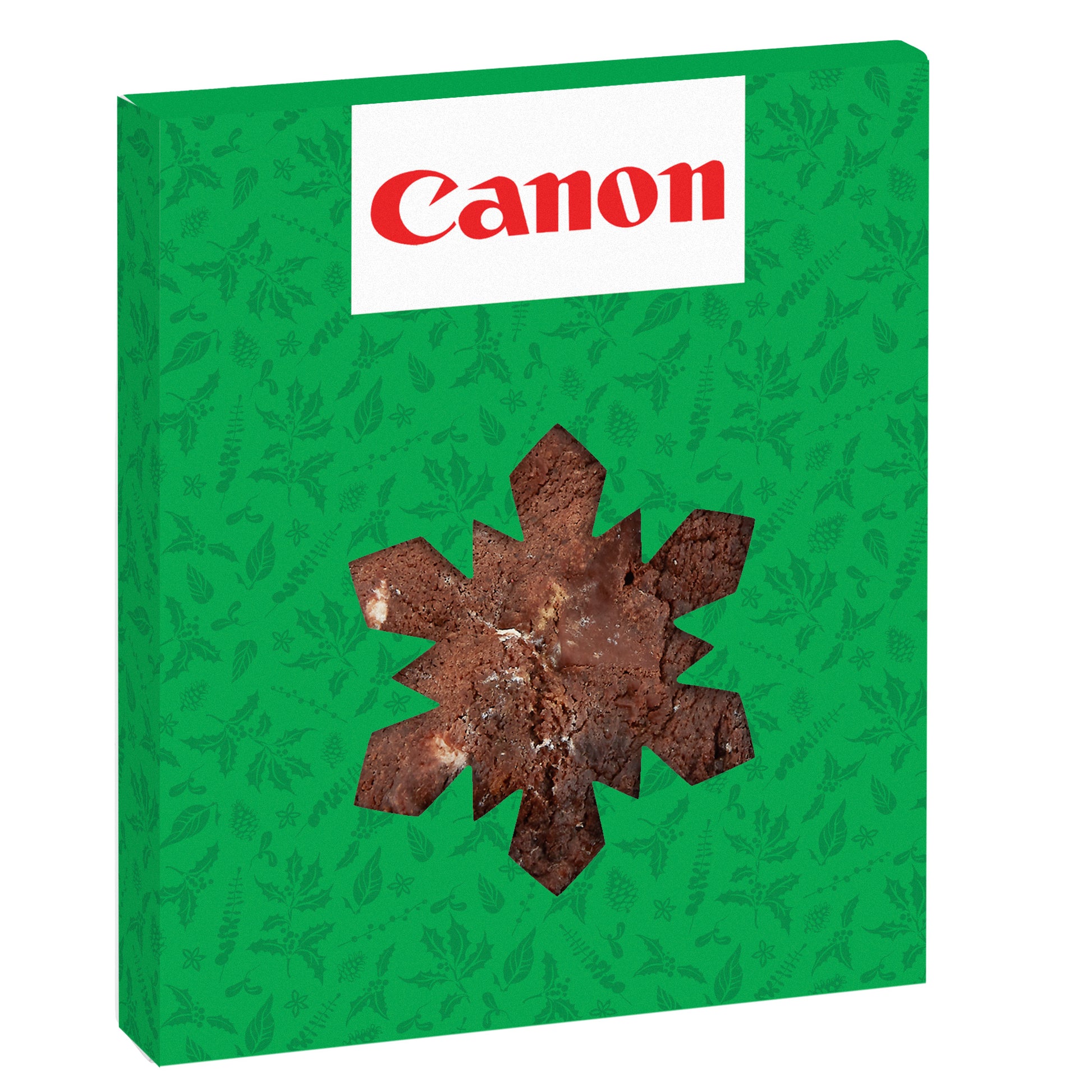 Holiday Window Box with Gourmet Cookie Snowflake / S'mores