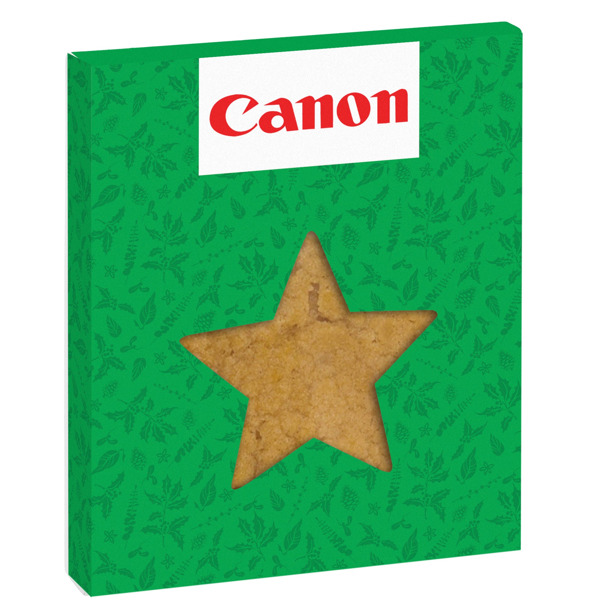 Holiday Window Box with Gourmet Cookie Star / Sugar Cookie